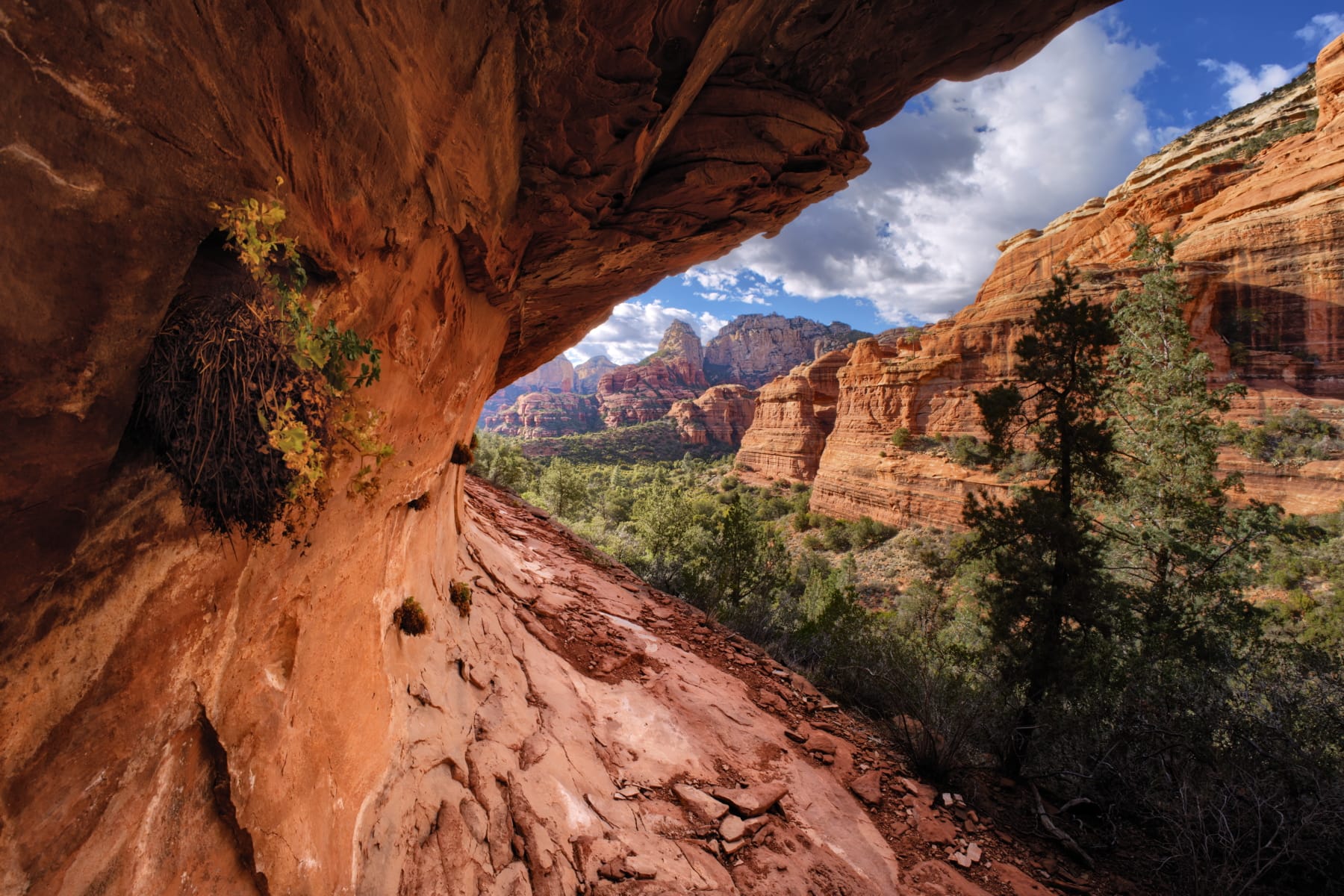 Boynton Canyon Vortex: Sedona's Most Sacred and Mysterious Site